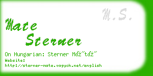 mate sterner business card